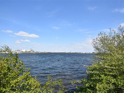 Picture 14